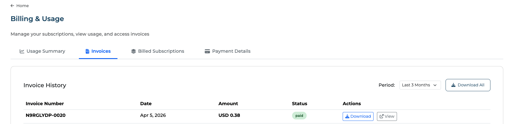 Billing and Usage Invoices tab showing Invoice History with invoice N9RGLYDP-0020 dated April 5 2026 for USD 0.38 with paid status and Download and View actions