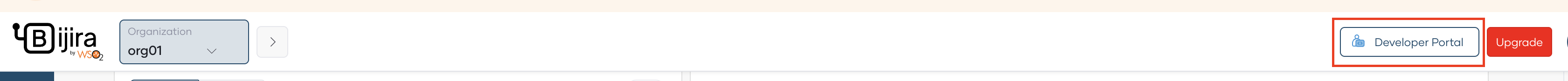 API Platform console header showing the Developer Portal button highlighted next to the Upgrade button
